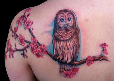 Tattoos - Owl perched on cherry blossom branch - 62011